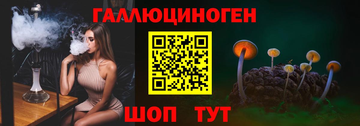 Псилоцибиновые грибы ЛСД Дальнереченск